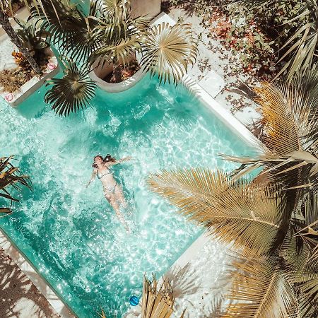 Hotel Buenavista Bacalar Jungle Experience Екстериор снимка