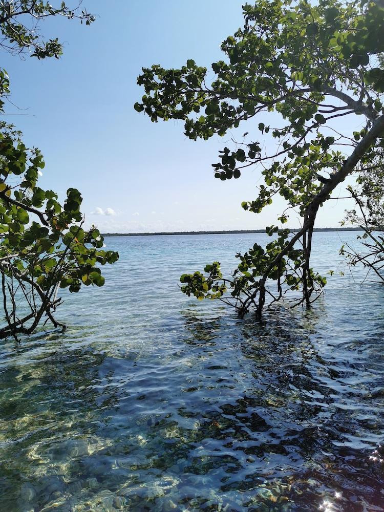 Hotel Buenavista Bacalar Jungle Experience Екстериор снимка